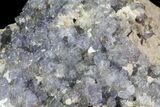 Purple/Gray Fluorite Cluster - Marblehead Quarry Ohio #81187-3